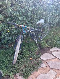 Bicicletta
