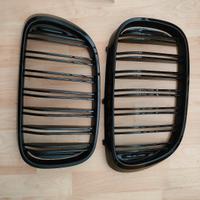 Griglie anteriori per Reni Griglie da corsa