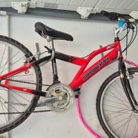  bicicletta ragazzo rossa
