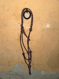 capezza Parelli Weaver