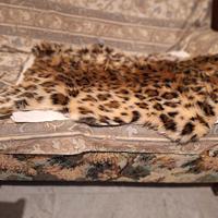 Tappeto leopardo