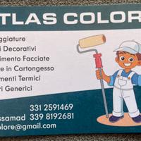 Pitture e cartongessista