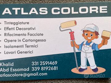 Pitture e cartongessista