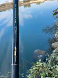 Canna bolognese Tubertini R01 az.0-20g