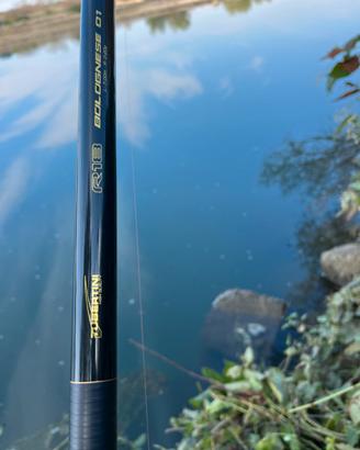 Canna bolognese Tubertini R01 az.0-20g