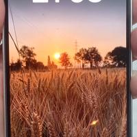 Iphone 16e - bianco
