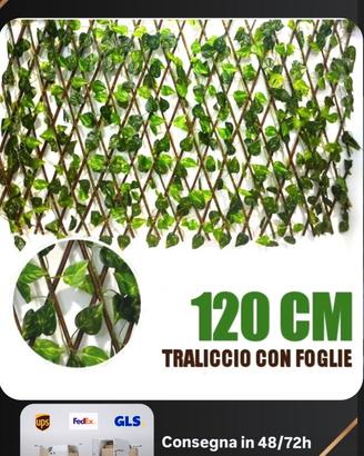 TRALICCIo CON FOGLIA EDERA SINTETICA 120x180 CM SI