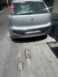 Fiat punto evo