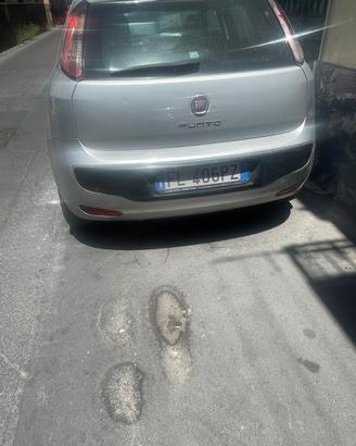 Fiat punto evo