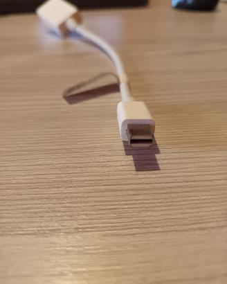 Adattatore Mini DisplayPort a HDMI (per Mac/PC)
