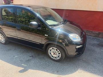Fiat panda 1.0 Hybrid full km 23.000