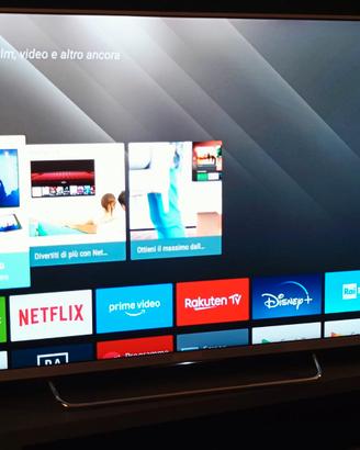 Smart TV Sony KDL50W807C con schermo 50 pollici