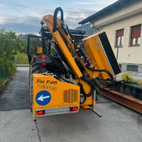 BRACCIO DECESPUGLIATORE