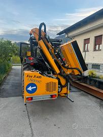 BRACCIO DECESPUGLIATORE