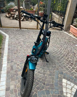 Bici elettrica