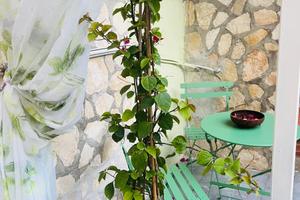 Affittacamere centro storico di Minturno