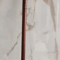 bastone da passeggio 