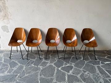 N. 5 sedie MEDEA di Vittorio Nobili