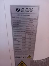 condizionatore + pompa di calore