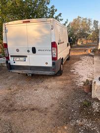 Furgone Fiat ducato