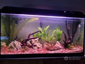 Acquario lt.100