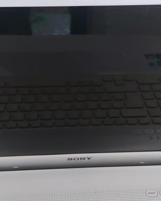 Sony Vaio 