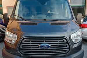 Ford Transit 290 2.0TDCi EcoBlue 130CV PM-TM Furgo
