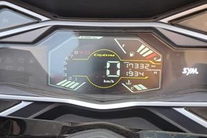 Cruisym 300