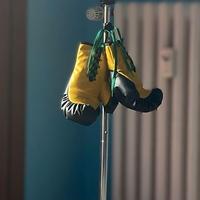 Pungiball - Prezzo trattabile