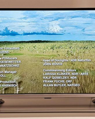 Smart TV Saba 32 pollici