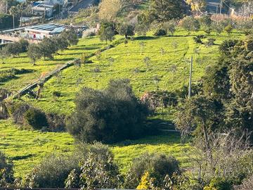Terreno per orto o giardino