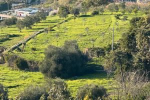 Terreno per orto o giardino