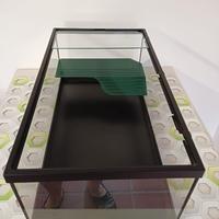 TECA IN VETRO PER TARTARUGHE