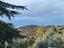 Immagine 12