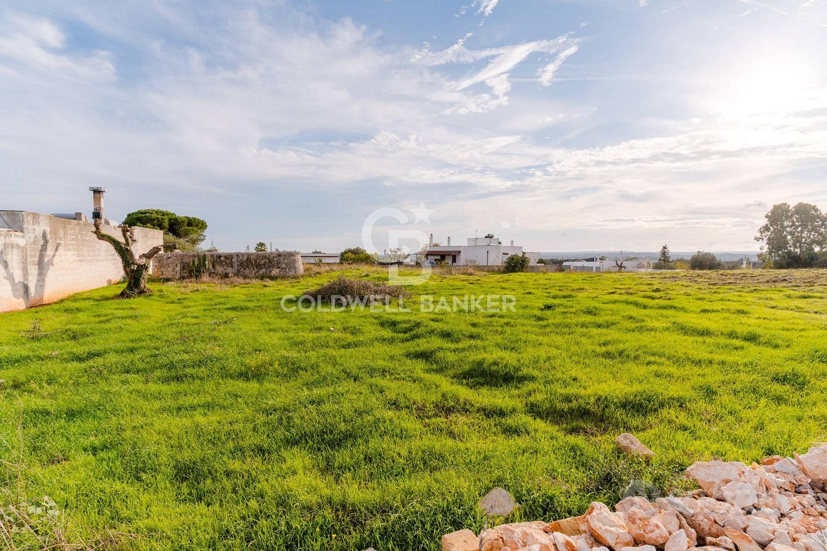 Rustico/Casale/Corte - Ostuni - Vista 2