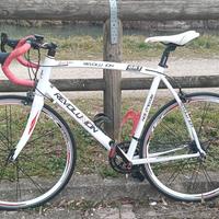 Bici da corsa