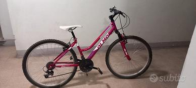 Bicicletta Olmo
