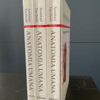 Atlante anatomia umana tacchetti-anastasi