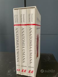 Atlante anatomia umana tacchetti-anastasi
