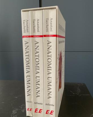 Atlante anatomia umana tacchetti-anastasi