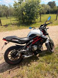 Benelli bn 302