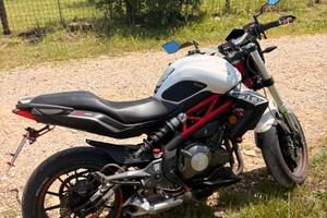 Benelli bn 302