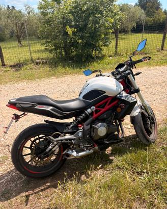 Benelli bn 302