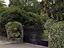 Immagine 30