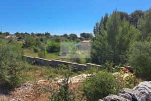 TERRENO AGRICOLO