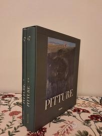 Electa Pitture 1996 Marco Goldin Arte