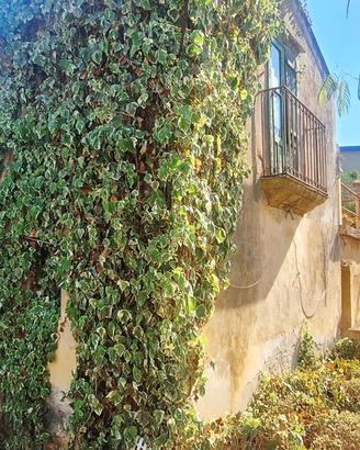 Appartamento Cefalù [VC/93VRG]