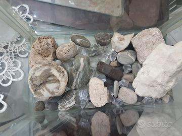 vaschetta in vetro per pesciolini