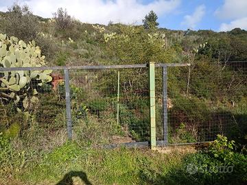 Terreno agricolo - oltre 1000 mq