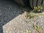 Immagine 29